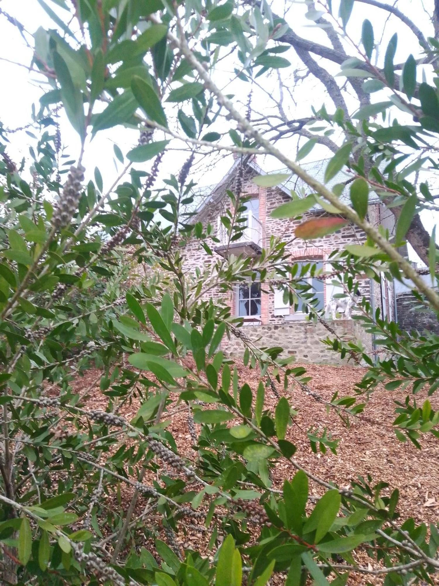 Domaine Le Gaudin - Saint Jean Le Thomas 빌라 객실 사진